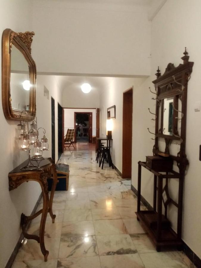 Alentejo Cante & Vinho Ferreira Do Alentejo Ngoại thất bức ảnh