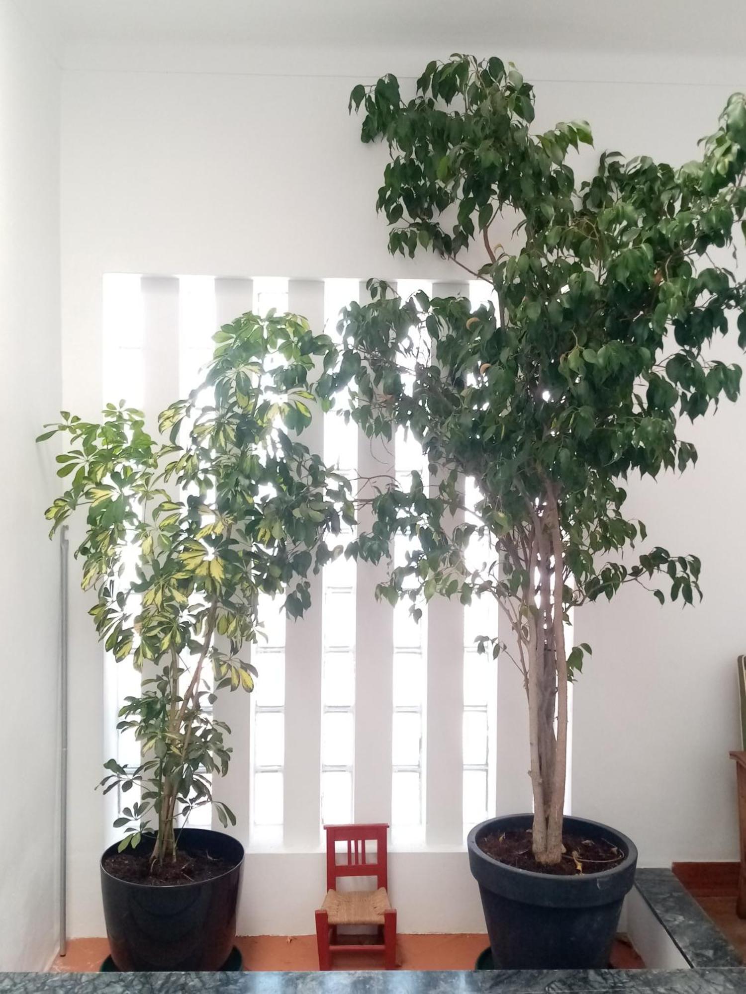 Alentejo Cante & Vinho Ferreira Do Alentejo Ngoại thất bức ảnh